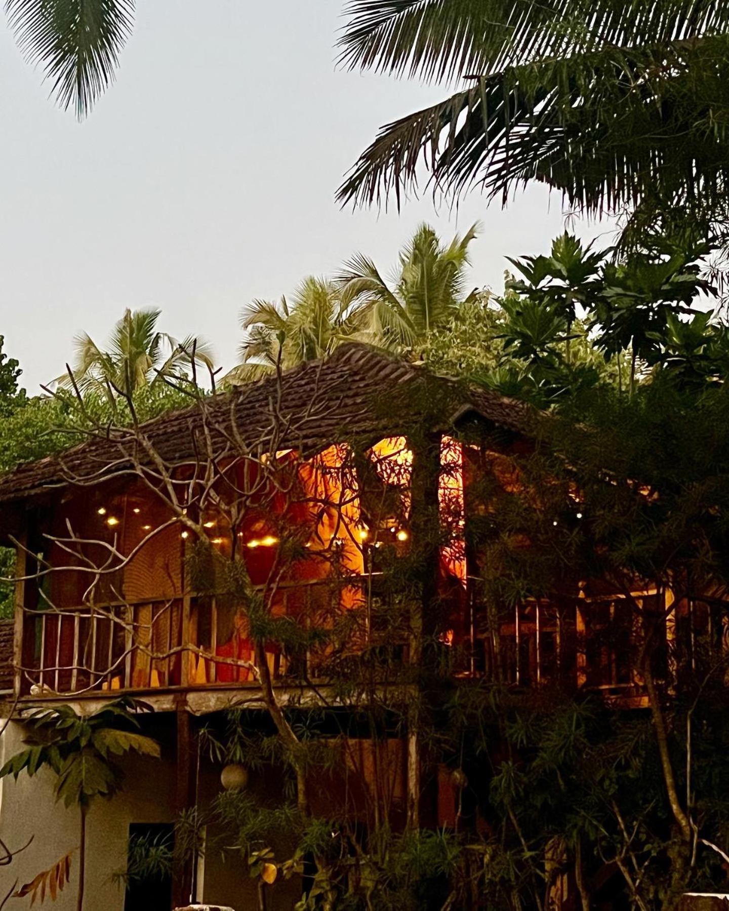 The Wild Flower! Anjuna Exterior foto